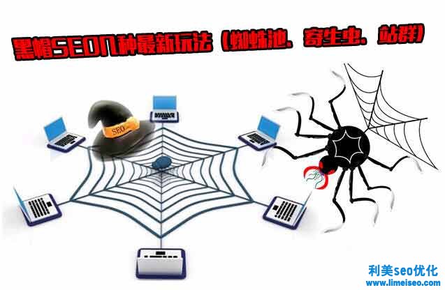 黑蜘蛛博客是什么意思？黑帽SEO的蜘蛛池、寄生虫、站群有什么区别