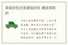 草菇好吃还是香菇好吃 蘑菇常吃的