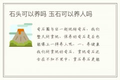 石头可以养吗 玉石可以养人吗