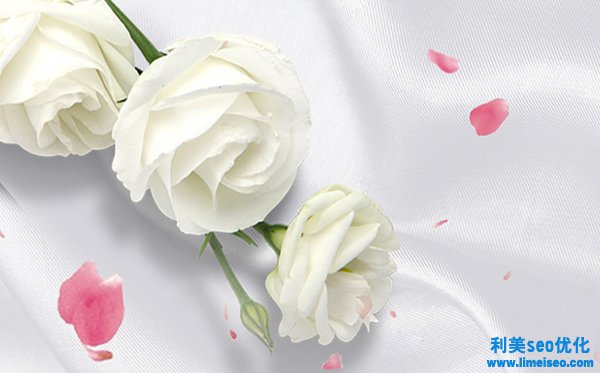 白玫瑰的花语和寓意,送白玫瑰代表什么意思