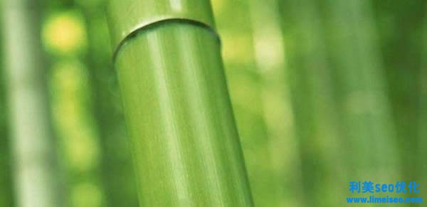 竹子的寓意和意味