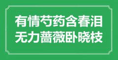 “有情芍药含春泪，无力蔷薇卧晓枝”是什么意思_出处是哪里