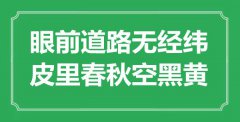 “眼前道路无经纬，皮里春秋空黑黄”是什么意思_出处是哪里