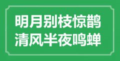 “明月别枝惊鹊，清风半夜鸣蝉”是什么意思_出处是哪里