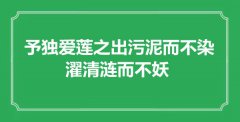 <b>“予独爱莲之出污泥而不染，濯清涟而不妖”是什么意思_出处是哪里</b>