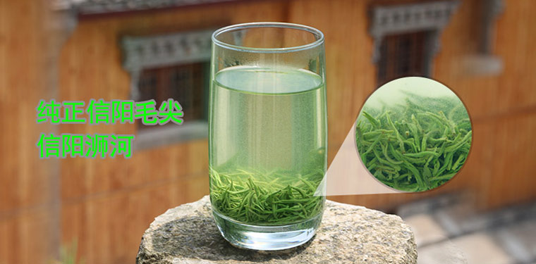 信阳毛尖的功效与作用