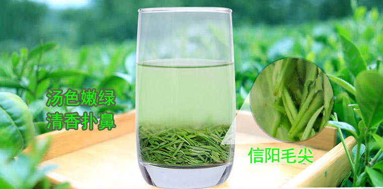 信阳毛尖十大知名品牌