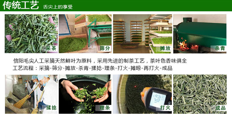 信阳毛尖春茶价格表多少钱一斤